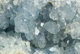 Sparkling Celestine (Celestite) Crystal Cluster - Madagascar #364097-1